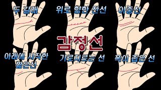[손금]감정선