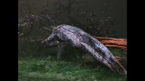 “Happy Whittle Tree” -- #houdini #pointcloud #treefall - 4kp30