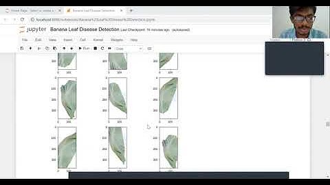 BANANA LEAF DISEASE DETECTION
