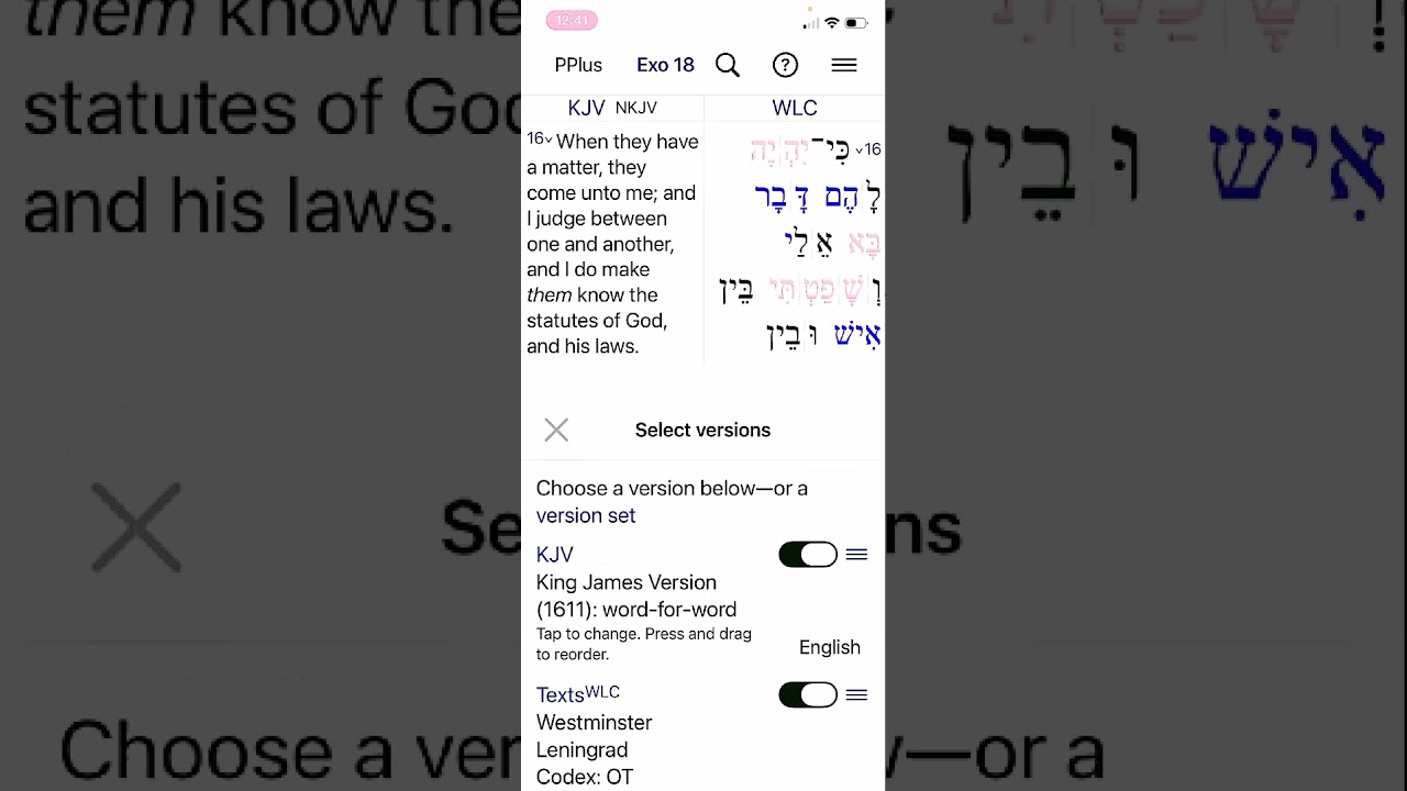 Приложение Parallel Plus (нам оно очень нравится!)