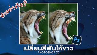 เปลี่ยนสีฟันให้ขาว Photoshop