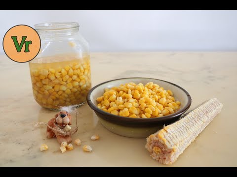 Vidéo: Comment Congeler Le Maïs