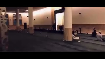 تلاوة آسرة وعطرة من سورة النساء للقارئ عبدالرحمن الماجد