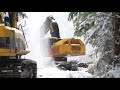 Mvr timber cutting 2017