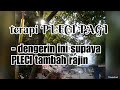 Terapi Pengembunan Pleci Mp3 - Mp4 Download
