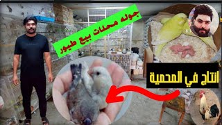 فتح اعشاش #الطيور مفاجئه 😱في محمية  هجم عليه ديج🐓 عرب