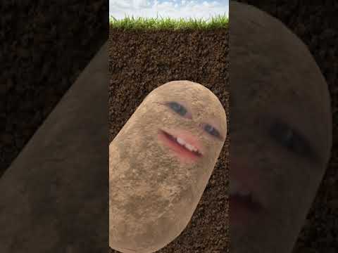 Смешная картошка