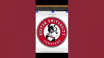 New AI tool for converting images into vectors