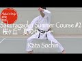 【Summer Course 2020】#2 Sochin - Shotokan Karate Seminar at Sakuragaoka in Germany【Akita' Dojo】