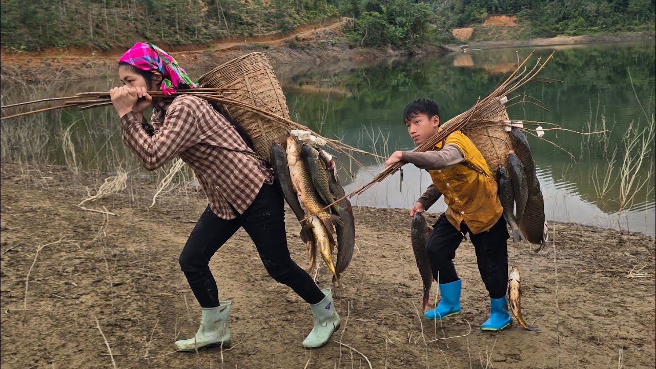 Fishing with earthworm bait, setting traps along the lake shore. Harvesting large carp to sell.