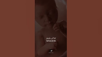 ( الله الذي خلقكم ثم رزقكم ثم يميتكم ثم يحييكم ) || بصوت القارئ ياسر الدوسري || سورة الروم