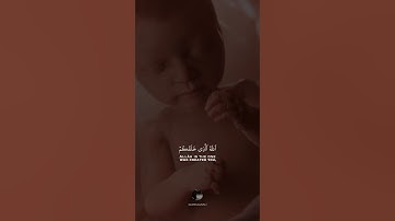 ( الله الذي خلقكم ثم رزقكم ثم يميتكم ثم يحييكم ) || بصوت القارئ ياسر الدوسري || سورة الروم