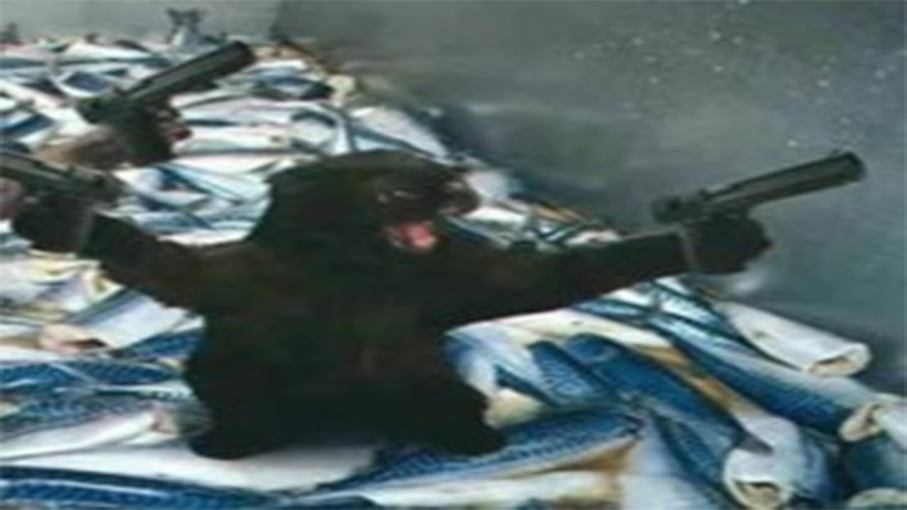 he called me a what?