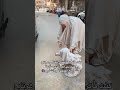 كنت فاكرة لما بنتي تمشي هرتاح وهتمشي في أيدي مؤدبة بنتي مع القطط في الشارع
