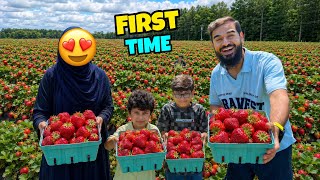 Family ke sath strawberry farm pohanch gae 😍 itni saari strawberries nikaal li 🍓