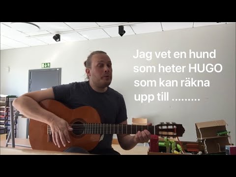 Video: Bara 21 hundar som ser syndiga ut