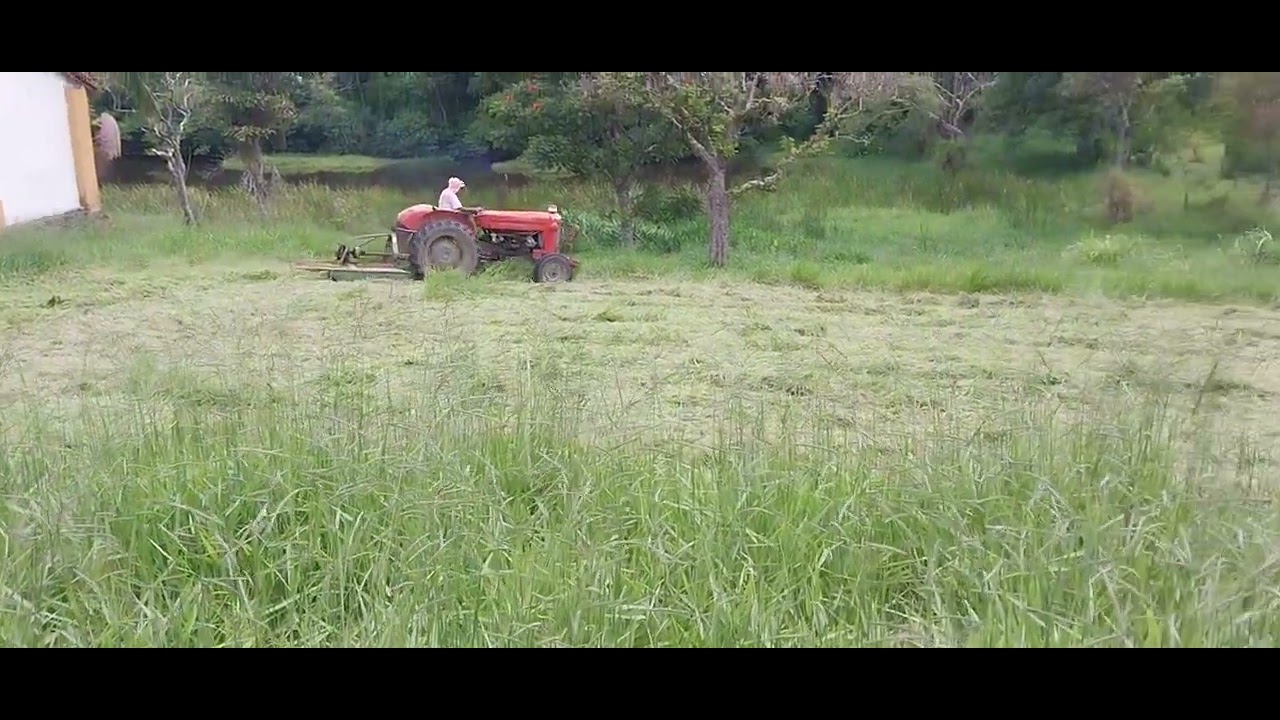roçando  com trator 50x Massey Ferguson com roçadeira Grande