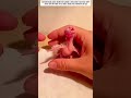 This MAMA Bird Just Rejected her OWN BABY