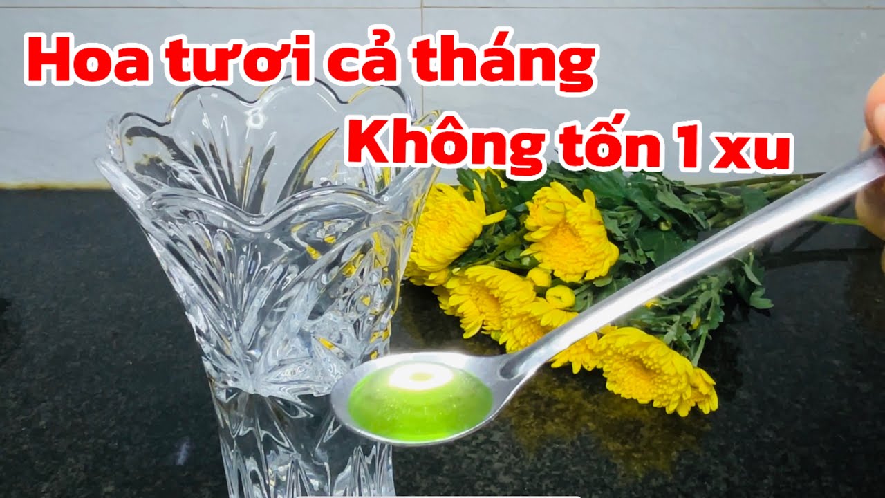Chỉ cần thứ này Hoa tươi cả tháng nước không hôi