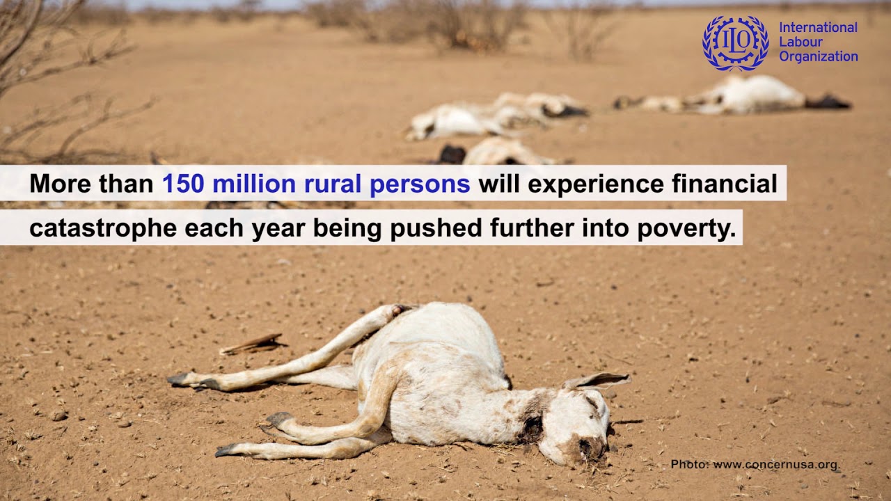 Social Protection and Climate change