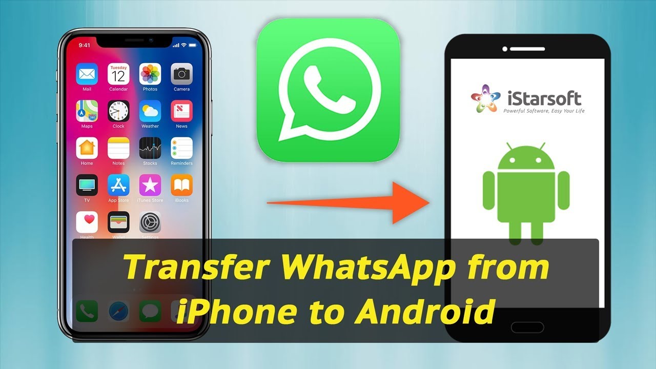 Como Enviar GIF no WhatsApp em iPhone e Android?- Dr.Fone