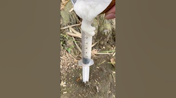 The guy shows a very simple tip to save water and soap #survival #campping #bushcraft
