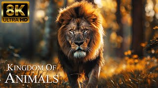 Kingdom of Animals 8K ULTRA HD | Relaxing Film with Beautiful Scenes and Inspirational Music