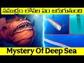 Why Deep Sea Creatures are Coming to the Surface