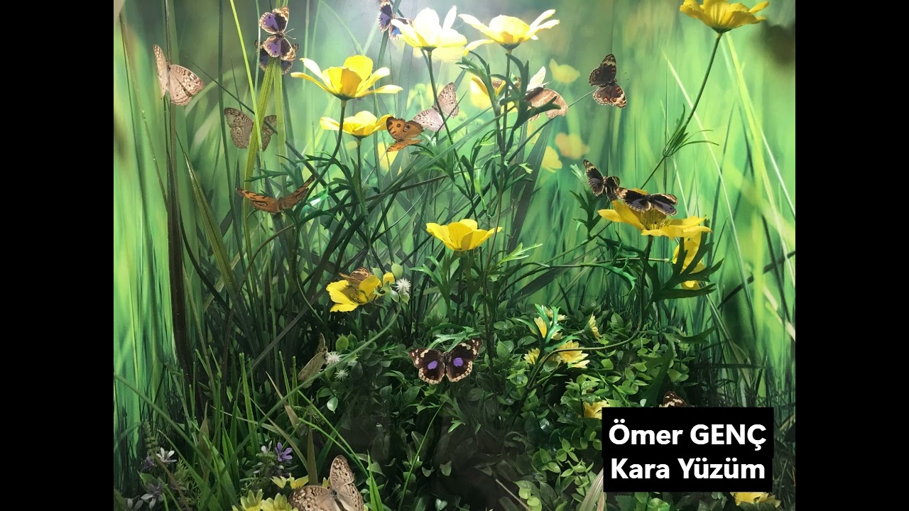 Ömer GENÇ Kara Yüzüm