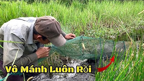 12 Cửa ngục lại có hàng ngon bẩy cá  , Lãng Tử