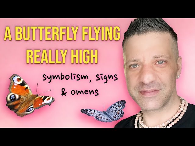 black and white garter belt Can butterflies sense humans through vibrations and smells?