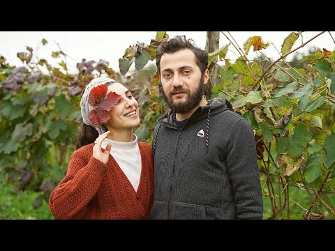 LIVE 3• ვპასუხობთ თქვენს კითხვებს  მე და ოტია