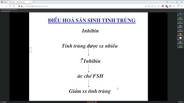 Module Nội Tiết - Sinh Sản Buổi 17 tiết 1