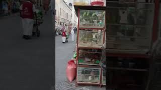 Qatardohatravelvlogtrip 2024