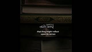 أجمل تلاوة القرآن الكريم