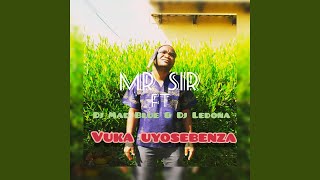 Vuka Uyosebenza (feat. DJ Mad Blue, DJ Ledona)