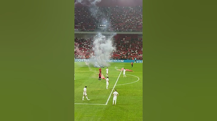 Polacy obrzuceni racami podczas meczu Albania - Polska #shorts