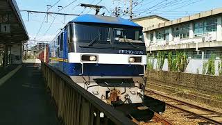 69列車JR貨物桃太郎EF210−316押し🍑幡生駅🎵