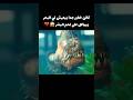 كائن خطير جدا بيعيش في البحر وبياكل على لحم البشر Movie Film كائن خطير جدا بيعيش في البحر وبياكل على لحم البشر Movie Film