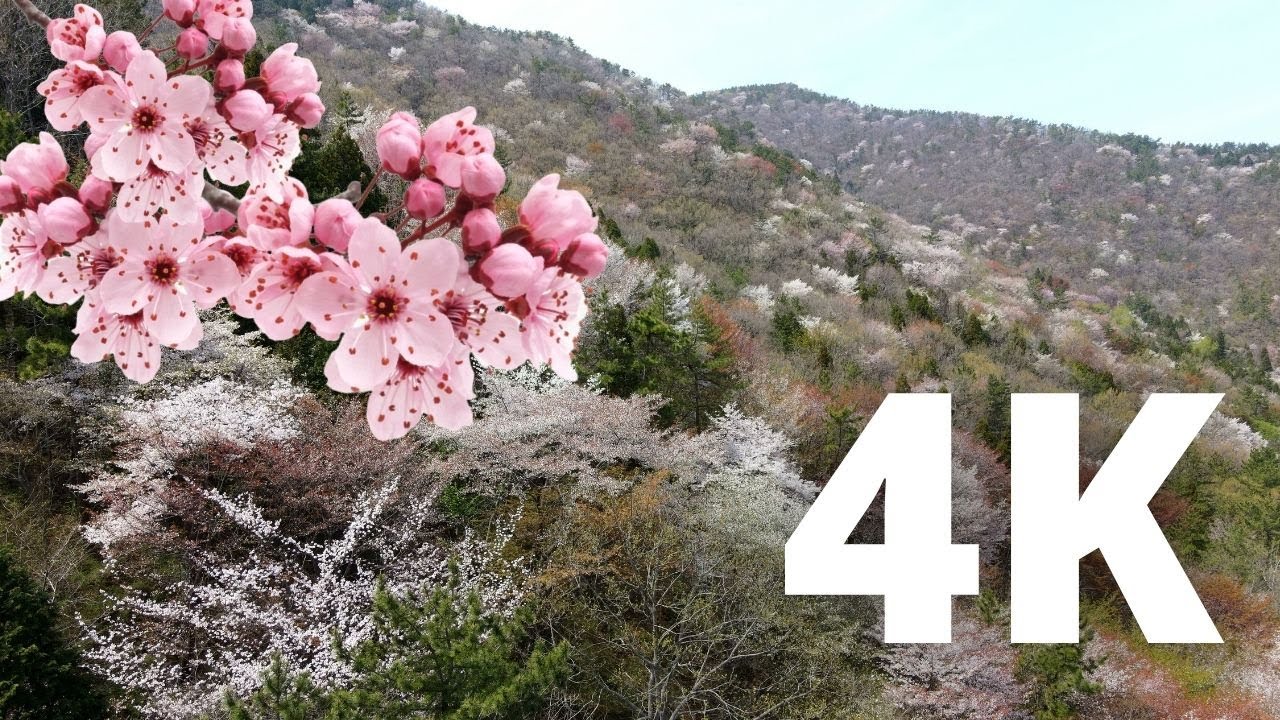 DJI MAVIC AIR 2 🌸 BREATHTAKING Spring Mountain in 4K 🌸  5 minutes deep sleep music