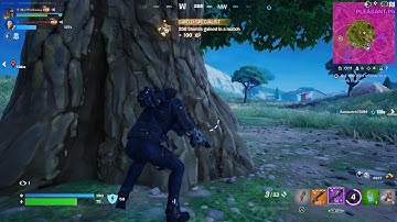 Fortnite_duos win 1v2 final circle