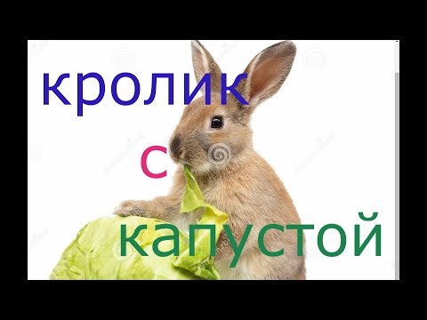 Видео рецепт Кролик, тушенный с капустой