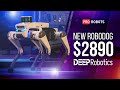 Unveiling lite3 deep robotics robot dog transforms the future of tech for 2890   prorobots