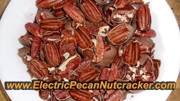 The BEST ELECTRIC PECAN NUTCRACKER - up to 1500 per hour! Great for cracking Half or Whole Pecans!!