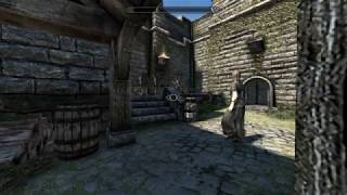 The Elder Scrolls V: Skyrim- Interrupting Roggvir's Execution With Crime, the Sad Ending