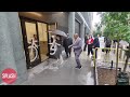 Bryce Dallas Howard Arrives At Live With Mark And Kelly