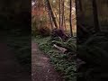 Video of Bruceport County Park, WA from Melody E.