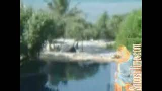 Tsunami (ShooshTime)