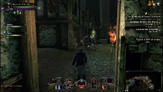 NEVERWINTER GLITCH NEVER BEFORE SEEN 2K17