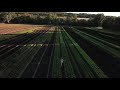 Farm from the air